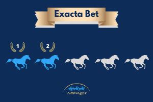 exacta calculator payout|exacta odds calculator.